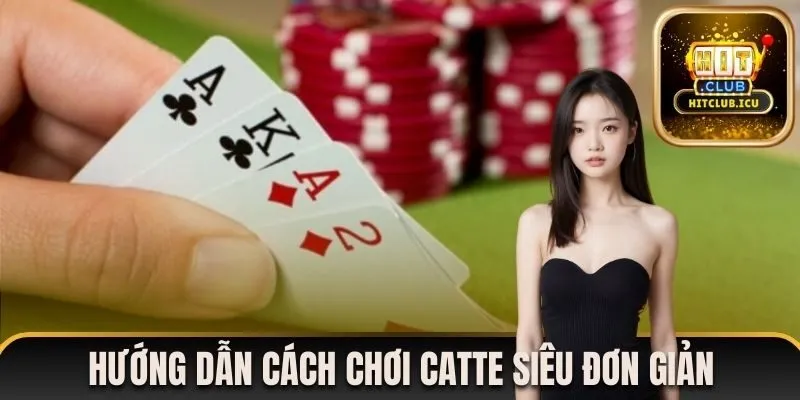 Hướng dẫn cách chơi catte siêu đơn giản